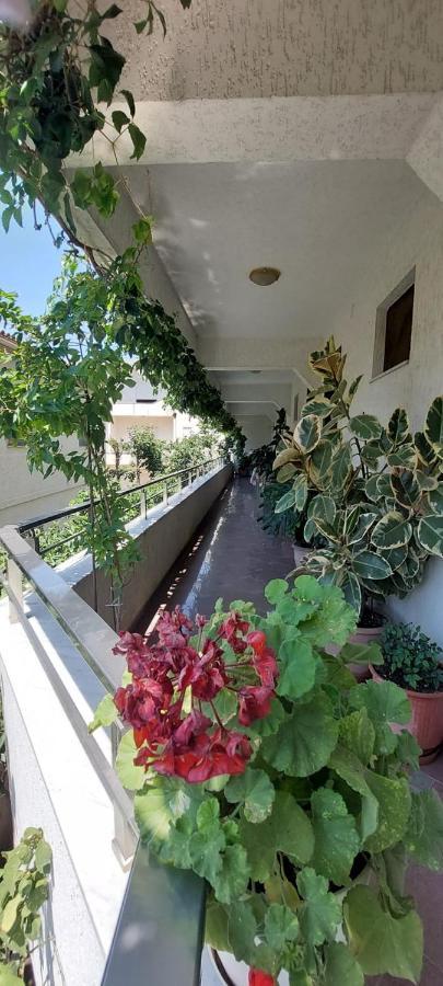 Villa Madani Durrës Exteriör bild